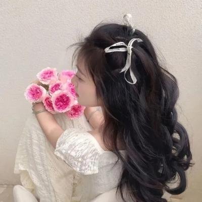 山上的松树 在线观看封面